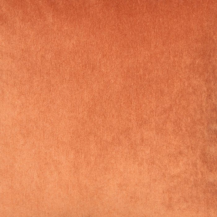 Fresco Velvet Pillow - Image 33